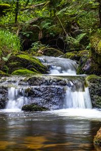 Preview wallpaper waterfall, plants, stones, water, flow