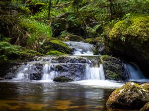 Preview wallpaper waterfall, plants, stones, water, flow