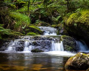 Preview wallpaper waterfall, plants, stones, water, flow