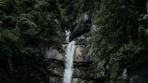 Preview wallpaper waterfall, river, cliff, forest, trees