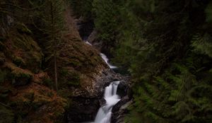 Preview wallpaper waterfall, river, flow, trees, forest