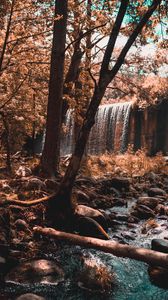 Preview wallpaper waterfall, river, forest, trees, autumn