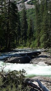 Preview wallpaper waterfall, river, grass, trees