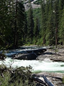 Preview wallpaper waterfall, river, grass, trees