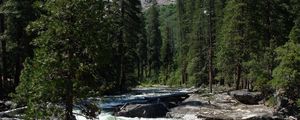 Preview wallpaper waterfall, river, grass, trees