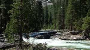 Preview wallpaper waterfall, river, grass, trees