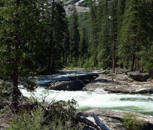 Preview wallpaper waterfall, river, grass, trees