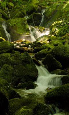 240x400 Wallpaper waterfall, river, moss, stones, nature