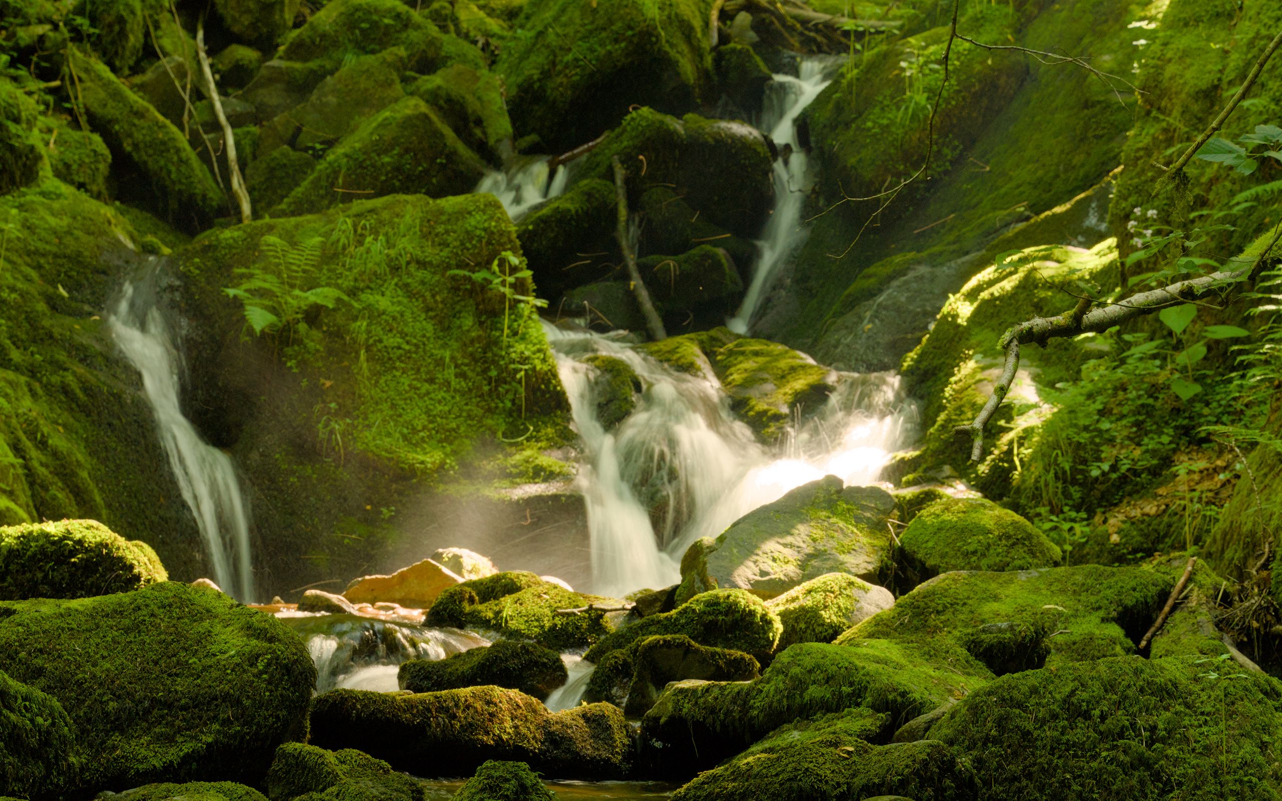 2560x1600 Wallpaper waterfall, river, moss, stones, nature