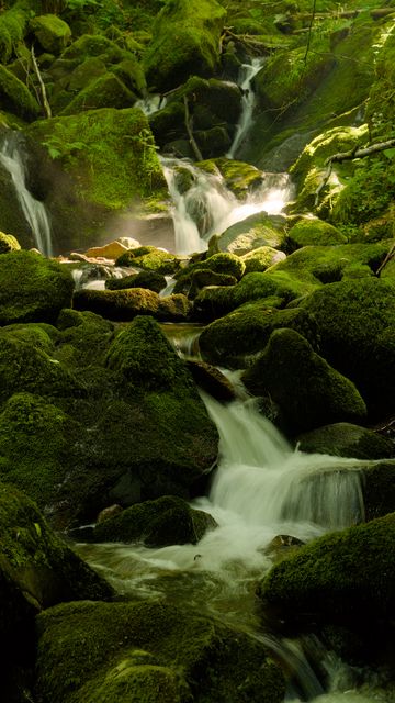 360x640 Wallpaper waterfall, river, moss, stones, nature