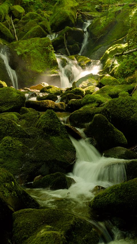 480x854 Wallpaper waterfall, river, moss, stones, nature