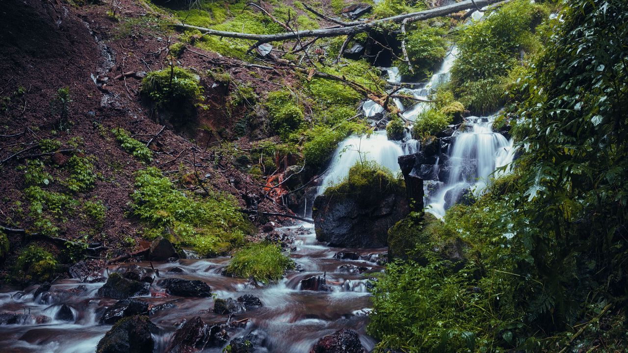 Wallpaper waterfall, river, plants, stones, forest, nature