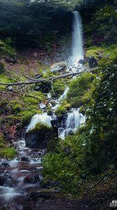 Preview wallpaper waterfall, river, plants, stones, forest, nature