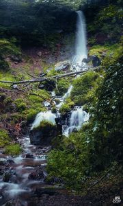 Preview wallpaper waterfall, river, plants, stones, forest, nature