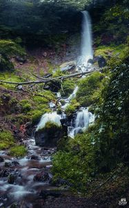 Preview wallpaper waterfall, river, plants, stones, forest, nature