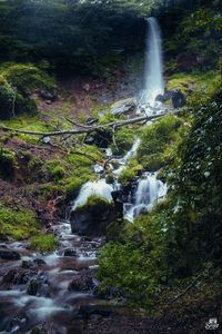 Preview wallpaper waterfall, river, plants, stones, forest, nature