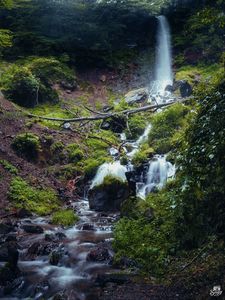 Preview wallpaper waterfall, river, plants, stones, forest, nature