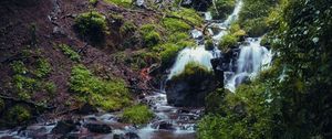 Preview wallpaper waterfall, river, plants, stones, forest, nature