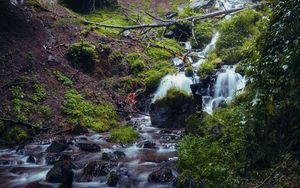 Preview wallpaper waterfall, river, plants, stones, forest, nature