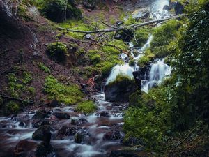 Preview wallpaper waterfall, river, plants, stones, forest, nature