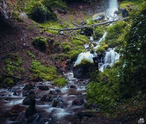 Preview wallpaper waterfall, river, plants, stones, forest, nature