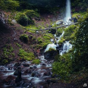 Preview wallpaper waterfall, river, plants, stones, forest, nature