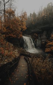 Preview wallpaper waterfall, river, rocks, trees, stairs