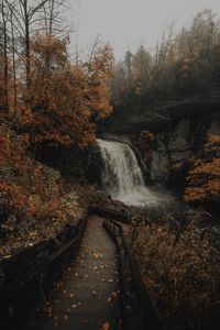 Preview wallpaper waterfall, river, rocks, trees, stairs