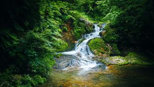 Preview wallpaper waterfall, river, stones, landscape, trees, moss