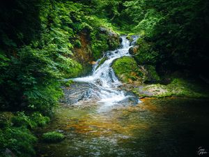 Preview wallpaper waterfall, river, stones, landscape, trees, moss