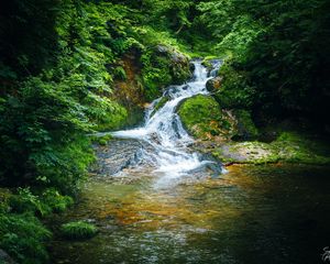 Preview wallpaper waterfall, river, stones, landscape, trees, moss