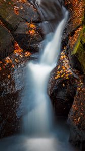 Preview wallpaper waterfall, river, stones, leaves, water