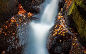 Preview wallpaper waterfall, river, stones, leaves, water