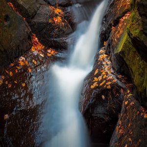 Preview wallpaper waterfall, river, stones, leaves, water