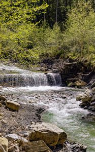 Preview wallpaper waterfall, river, trees, rocks, forest, nature