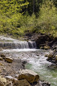 Preview wallpaper waterfall, river, trees, rocks, forest, nature