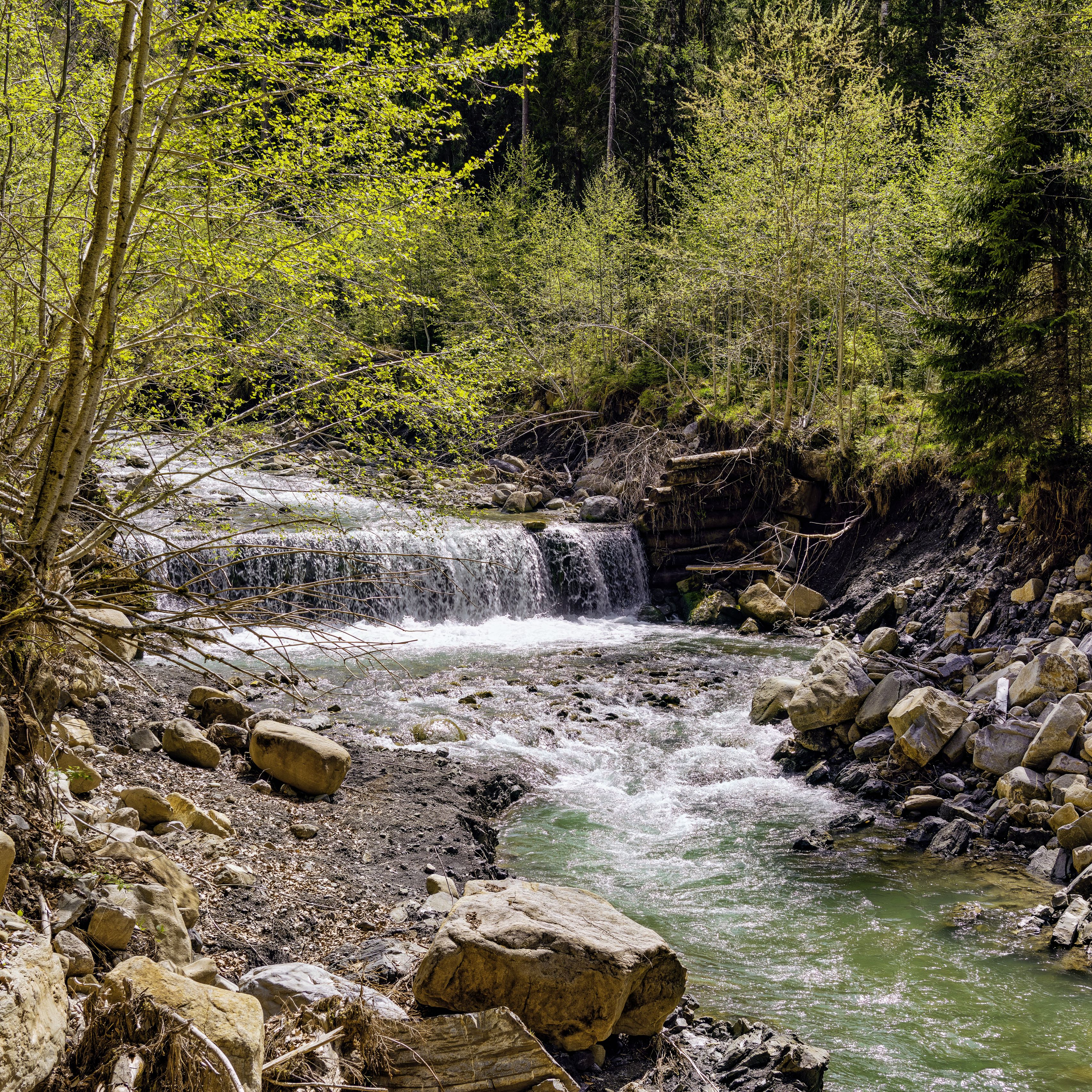 3415x3415 Wallpaper waterfall, river, trees, rocks, forest, nature