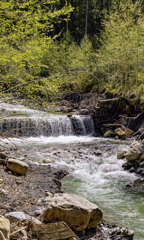 480x800 Wallpaper waterfall, river, trees, rocks, forest, nature