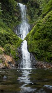 Preview wallpaper waterfall, river, water, moss, greenery