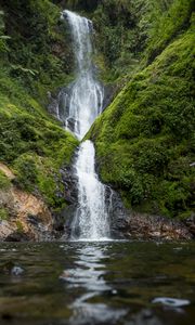 Preview wallpaper waterfall, river, water, moss, greenery