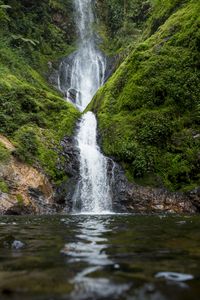 Preview wallpaper waterfall, river, water, moss, greenery