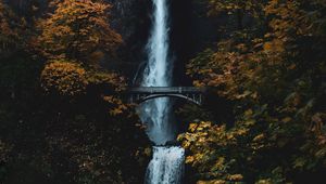 Preview wallpaper waterfall, rock, cliff, trees, bridge