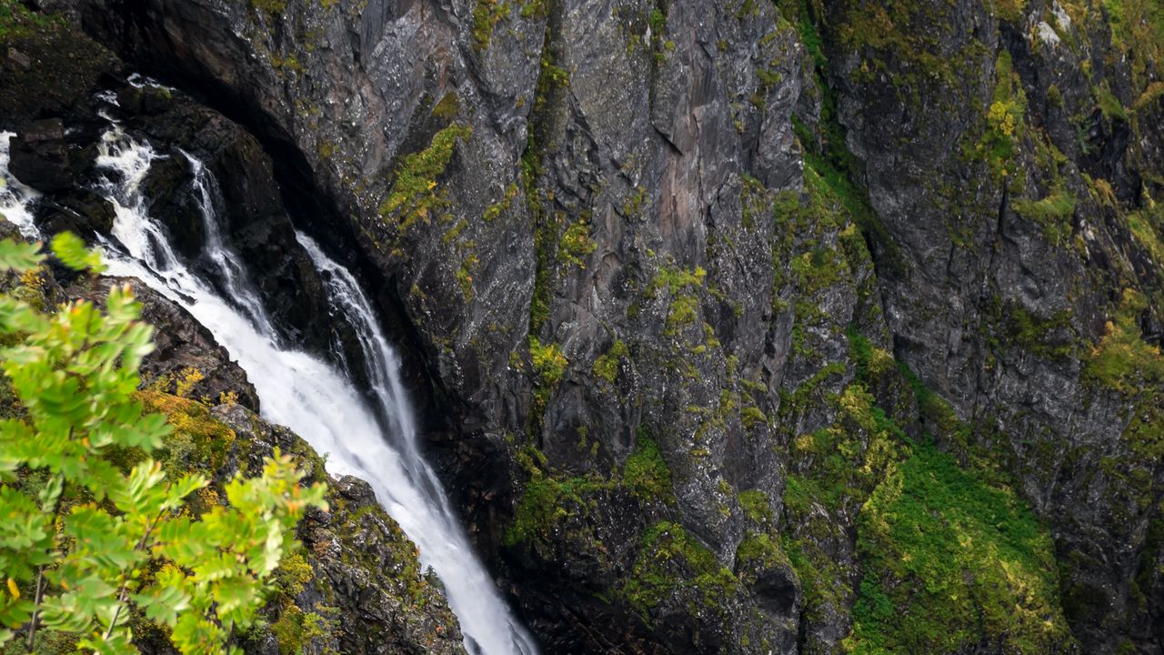 Wallpaper waterfall, rock, cliff, trees, nature hd, picture, image