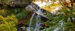 Preview wallpaper waterfall, rock, landscape, nature, leaves