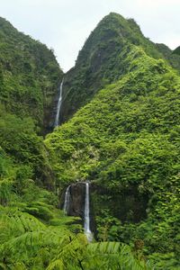 Preview wallpaper waterfall, rock, plants, stream