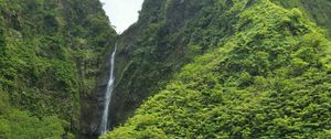 Preview wallpaper waterfall, rock, plants, stream