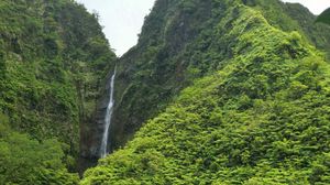 Preview wallpaper waterfall, rock, plants, stream