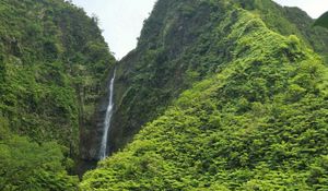 Preview wallpaper waterfall, rock, plants, stream