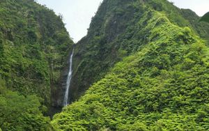 Preview wallpaper waterfall, rock, plants, stream
