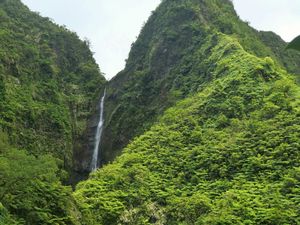 Preview wallpaper waterfall, rock, plants, stream